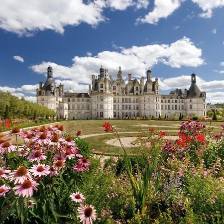 Au Coeur De Blois Daire Dış mekan fotoğraf