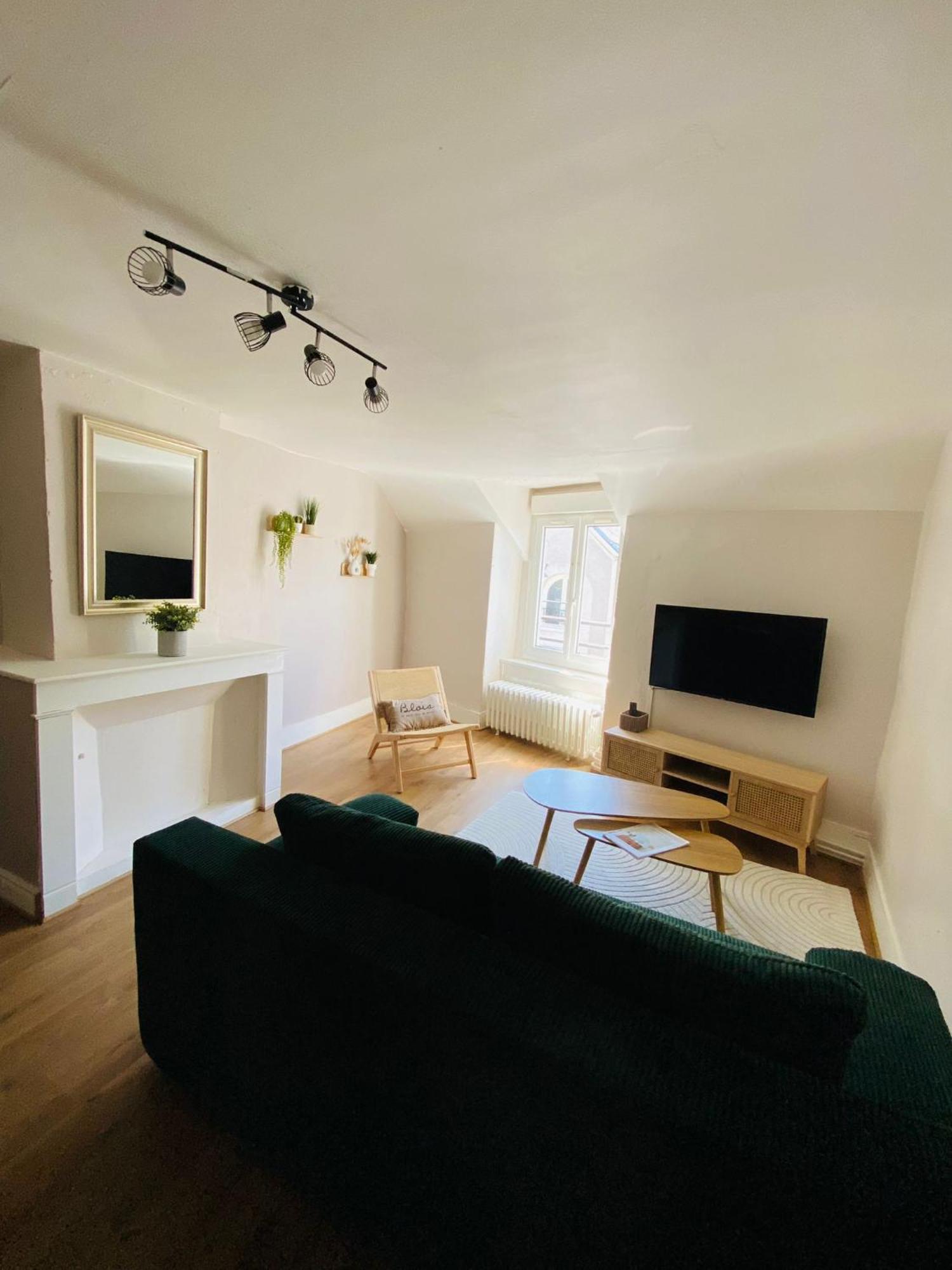 Au Coeur De Blois Daire Dış mekan fotoğraf