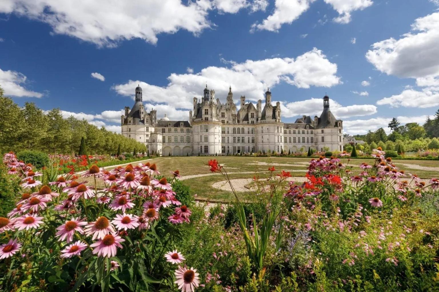 Au Coeur De Blois Daire Dış mekan fotoğraf